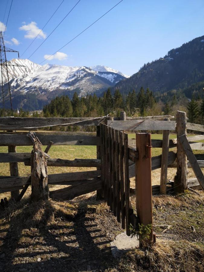 Ferienwohnungen Haus Almrausch Bichlbach Bagian luar foto